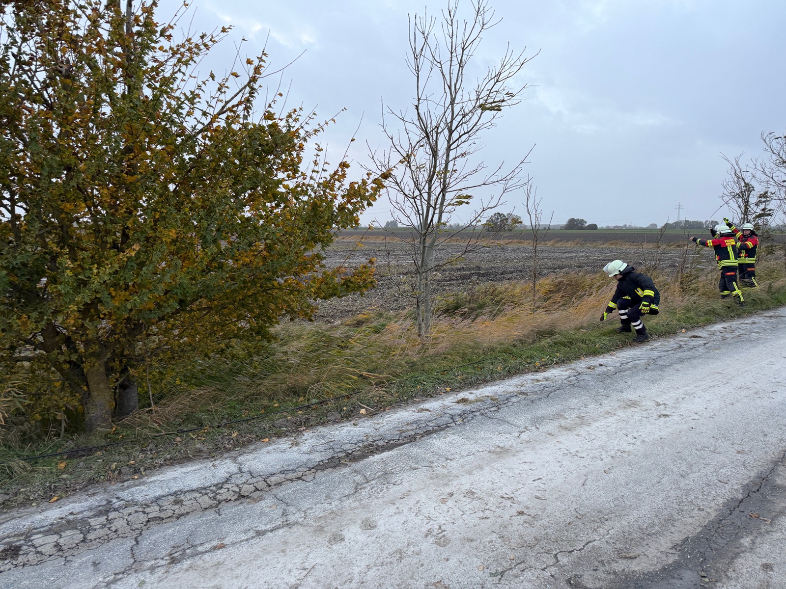 Einsatzfoto Sicherung heruntergefallener Telefonleitungen